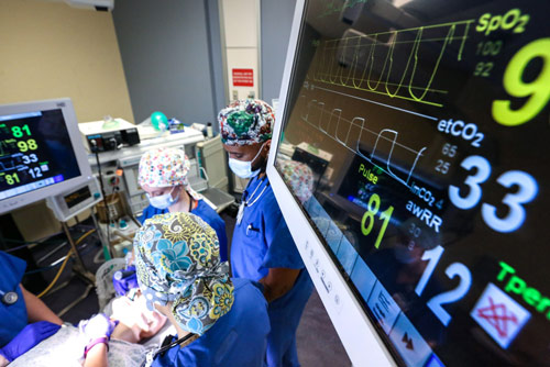 Anesthesiologists working on a simulated surgery